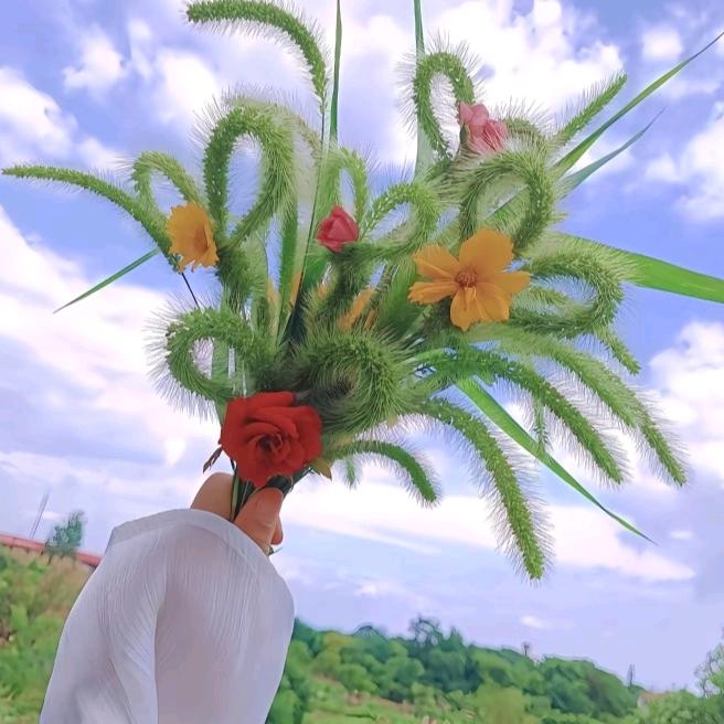 💞້໌ᮨ⃝笨笨