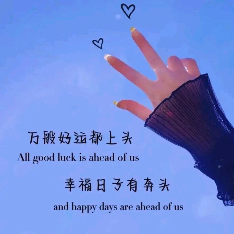 ꧁枯叶✨蝶꧂
