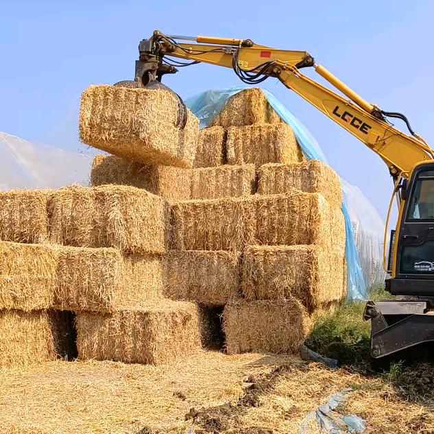 嘉兴🌾草业💋