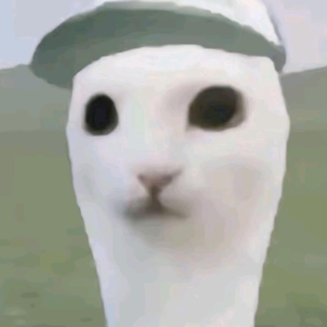 泪水打湿我的麦当劳薯条ㅤ