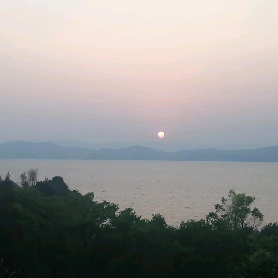 不吃糖的小唐