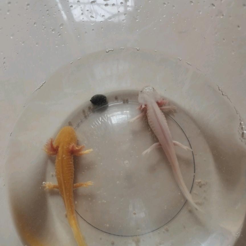 青春不在