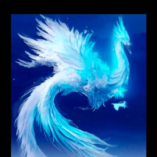 阳光微笑..改变自己玲珑妹