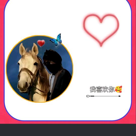 🇨🇳爱马人（定主）🇨🇳