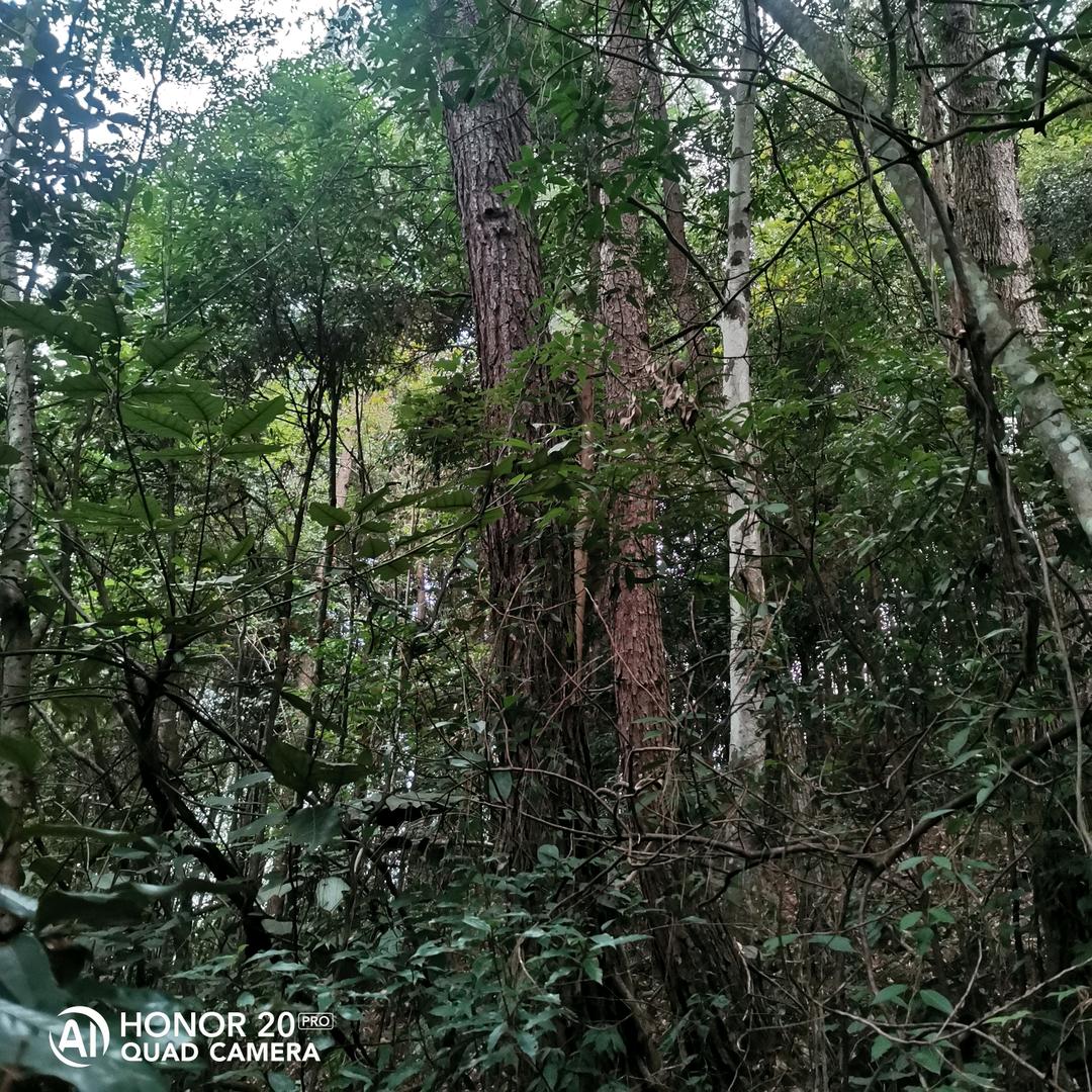 无所谓的顺其自然