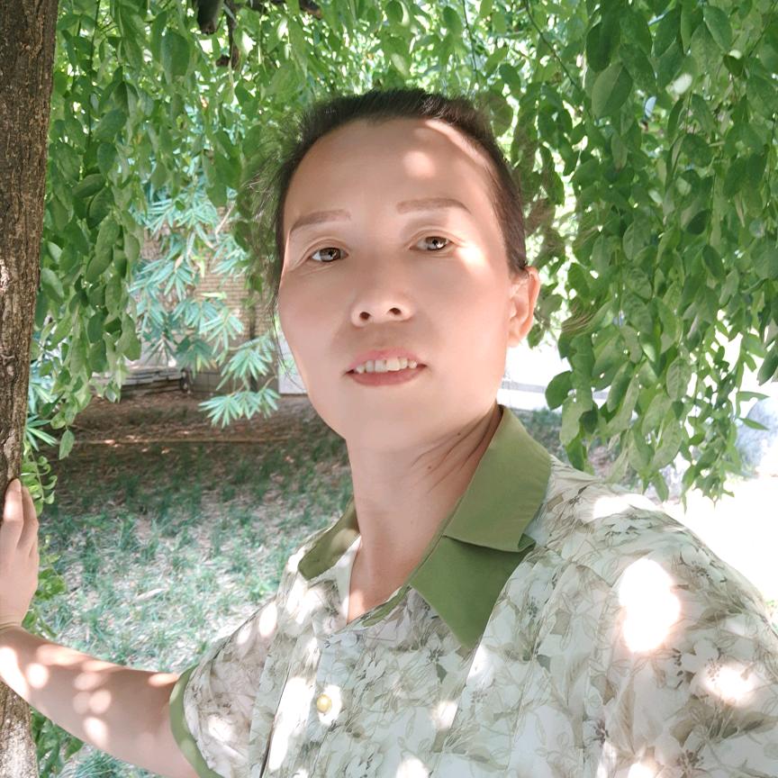 朝阳盛开
