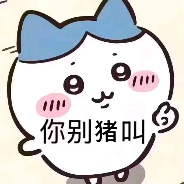 洛雨