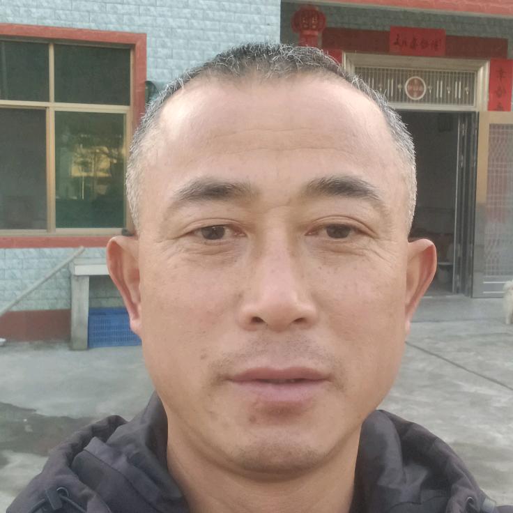 懂我的人
