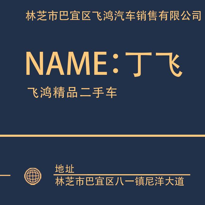 林芝市飞鸿汽车销售有限公司