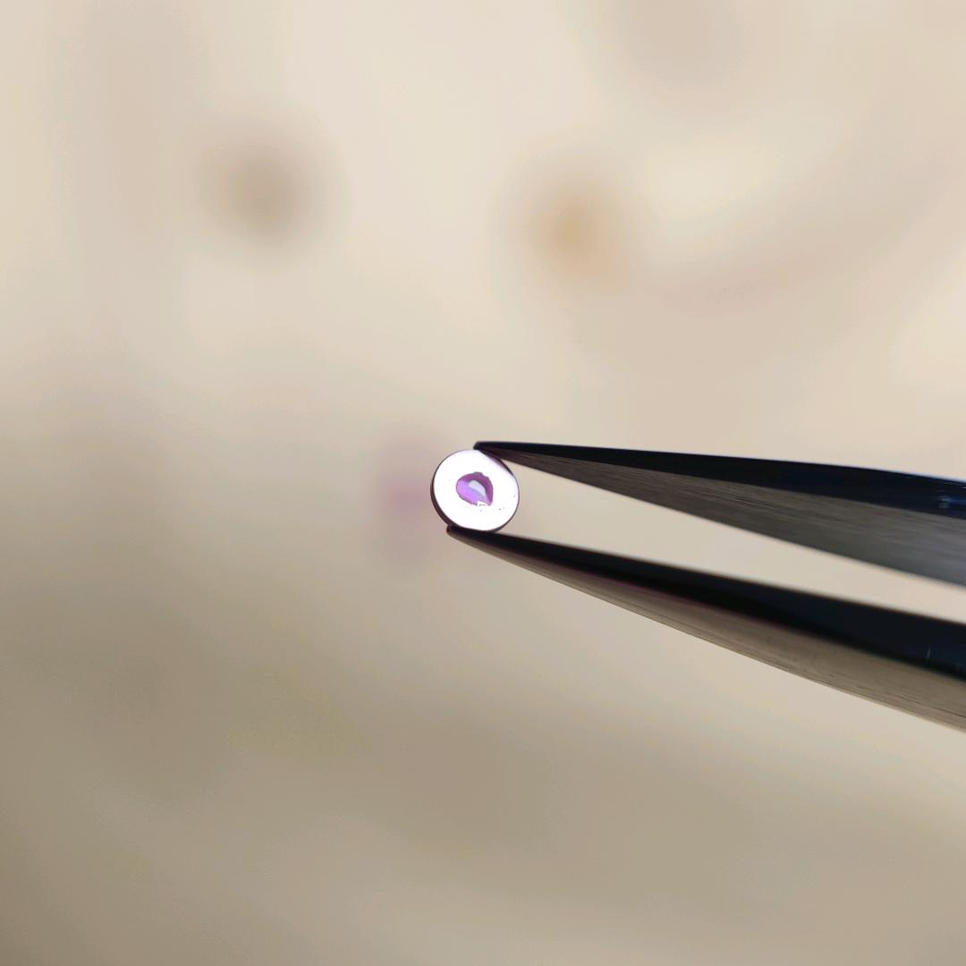 南阳市 尚品钟表维修中心