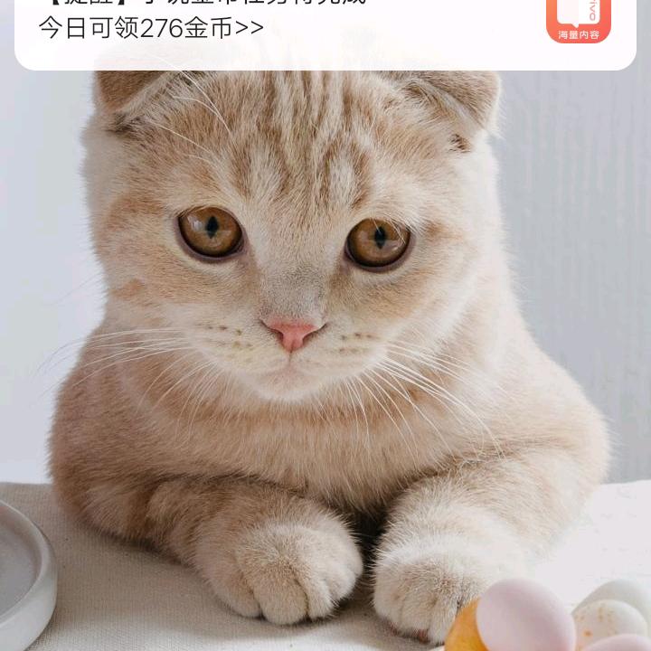 往日随风