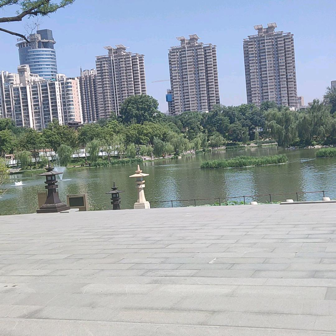善解人意