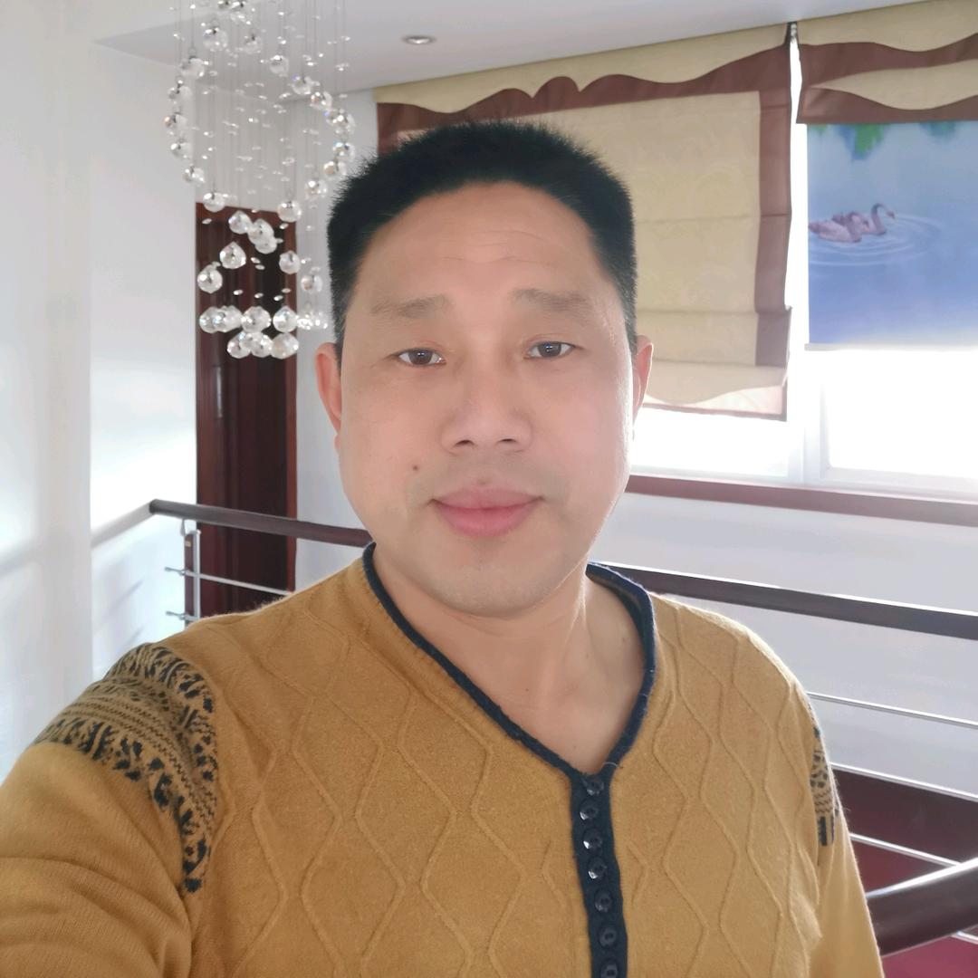 书哥歌