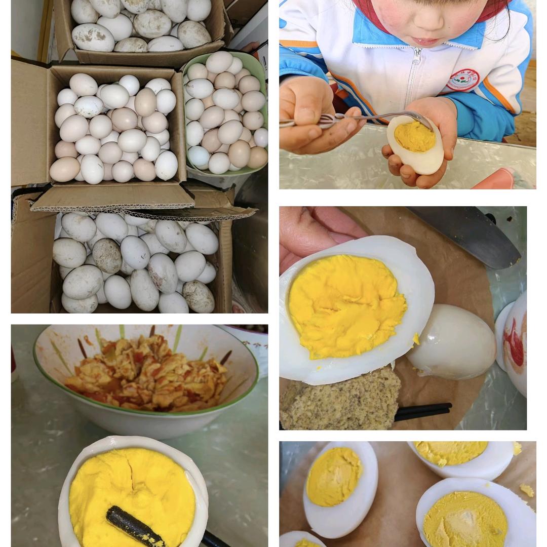 蛋🥚的幸福