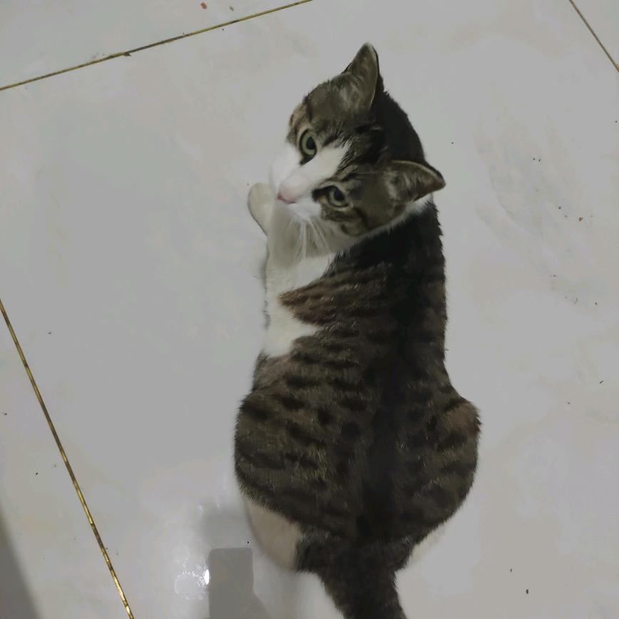 乱斗保安