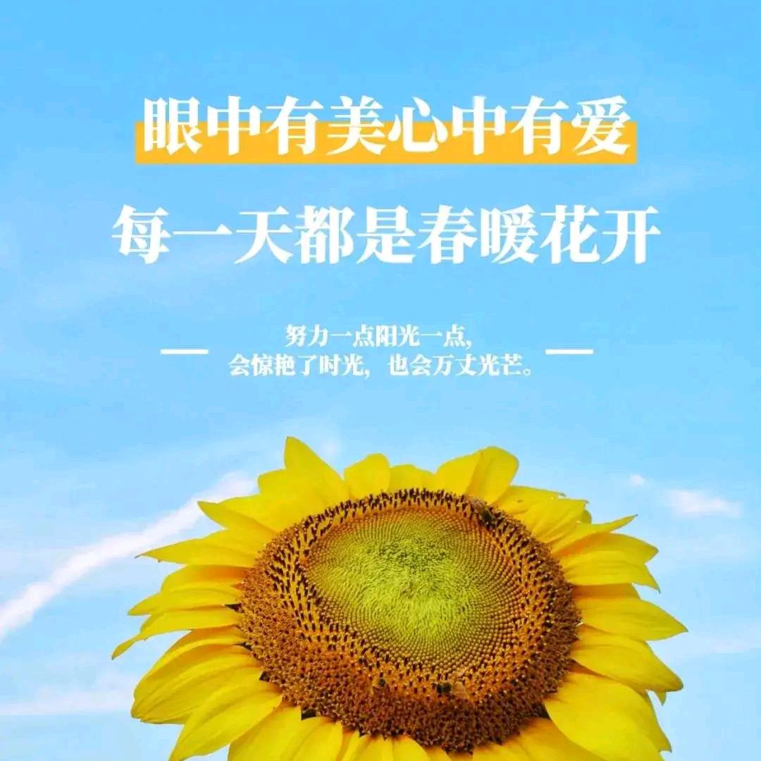 飞蛾扑火得小强