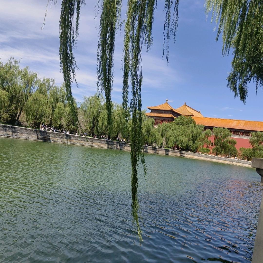 最熟悉的陌生人