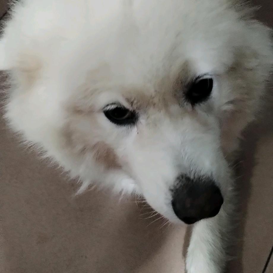 🎒简单幸福就好