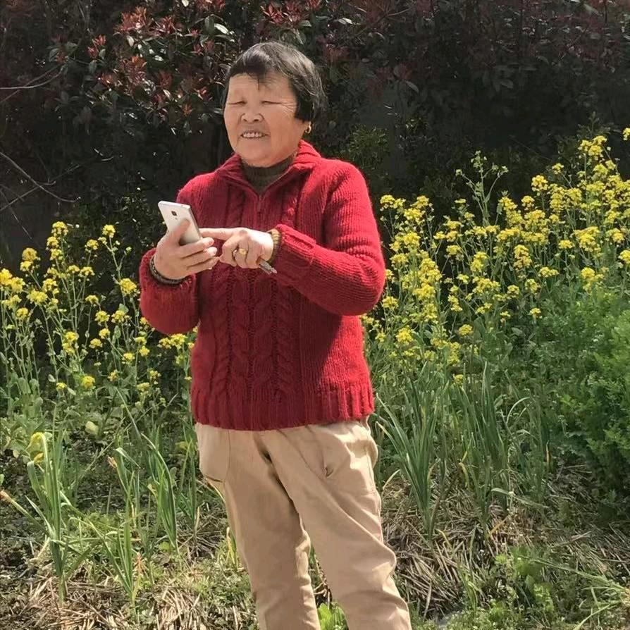 朱尧琴