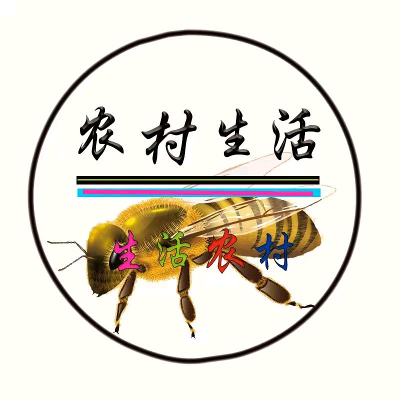 农村生活