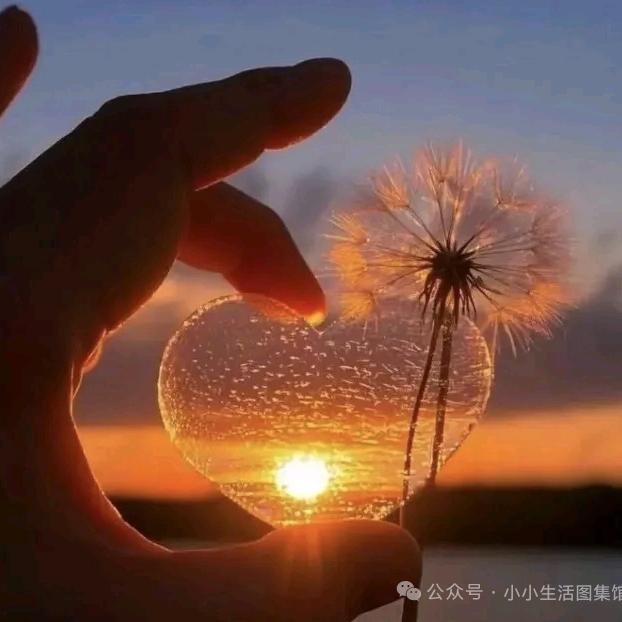 怡༆宝