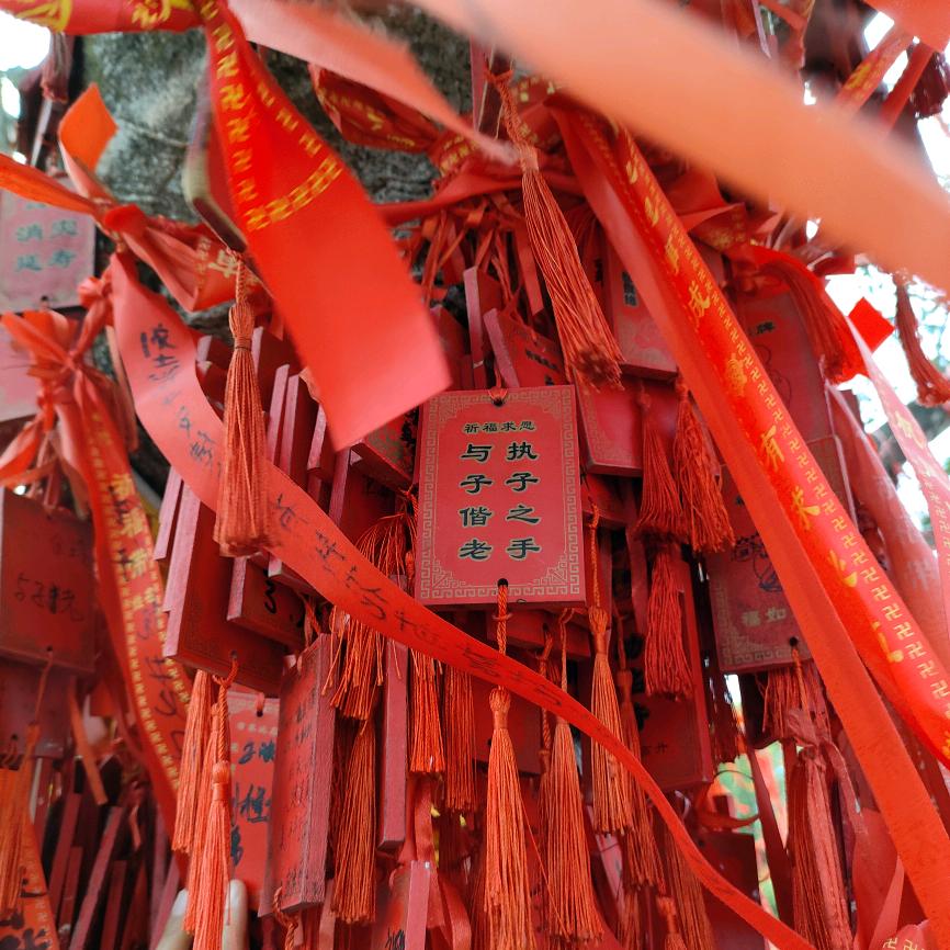 你不离我不弃