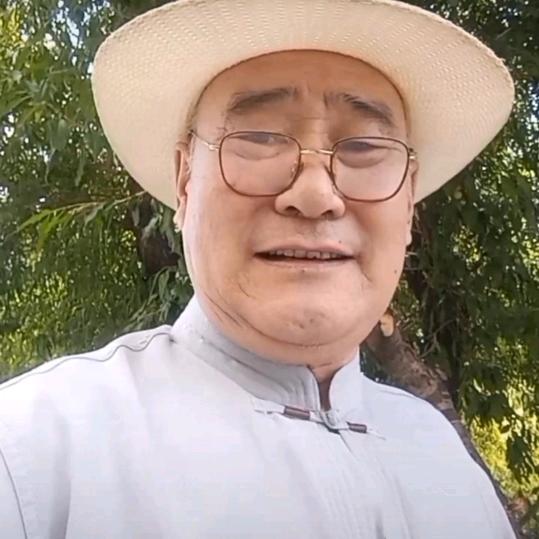 峥嵘岁月正能量一