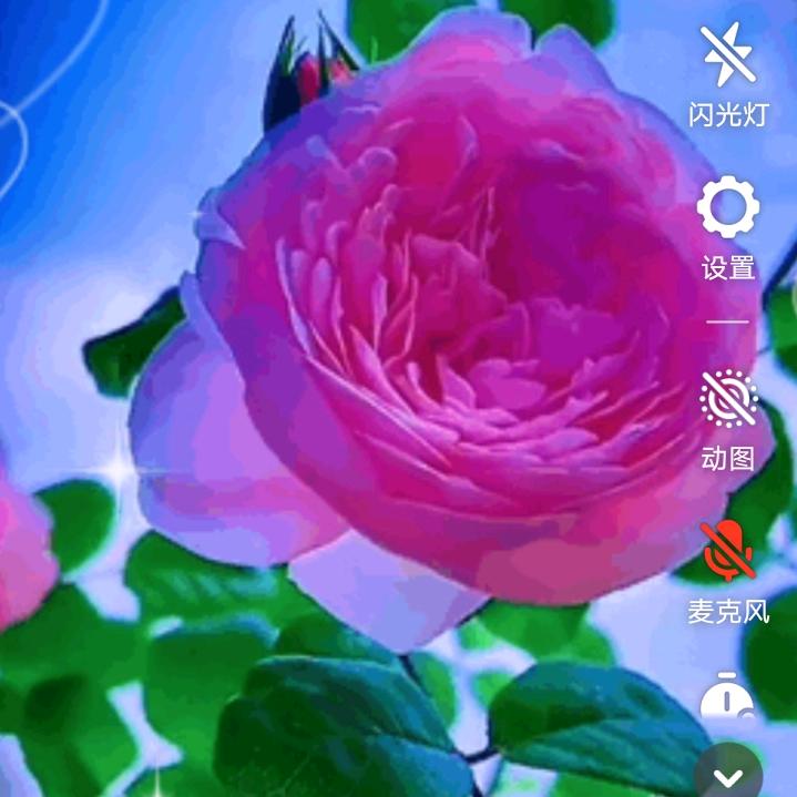 一生快乐