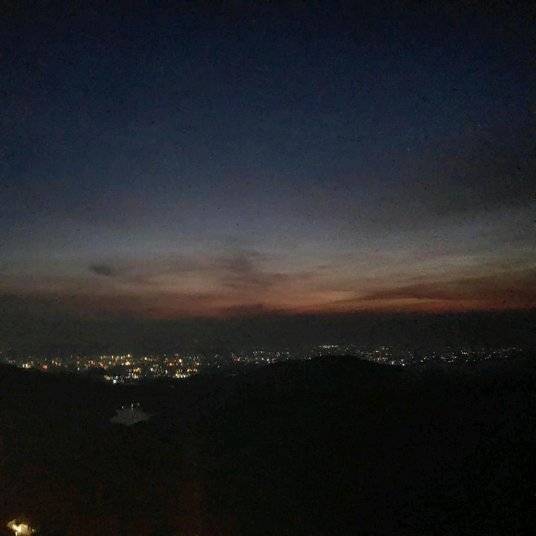 青霖、