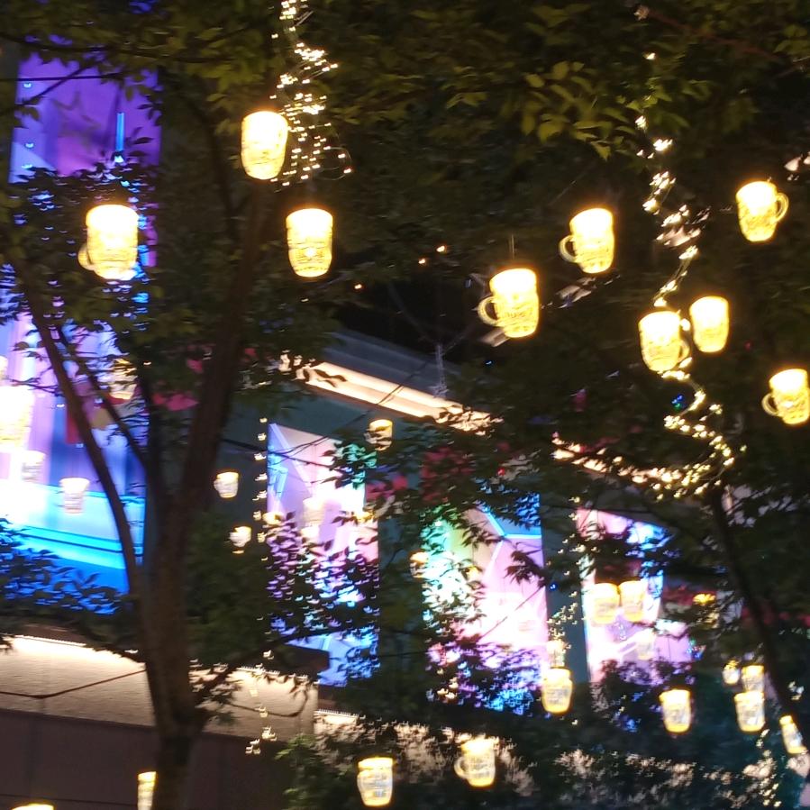 骑着蚂蚁闯天下