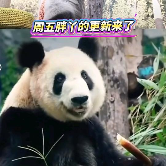 亚姐优选衣橱