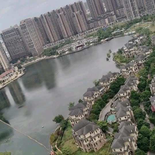 赵康