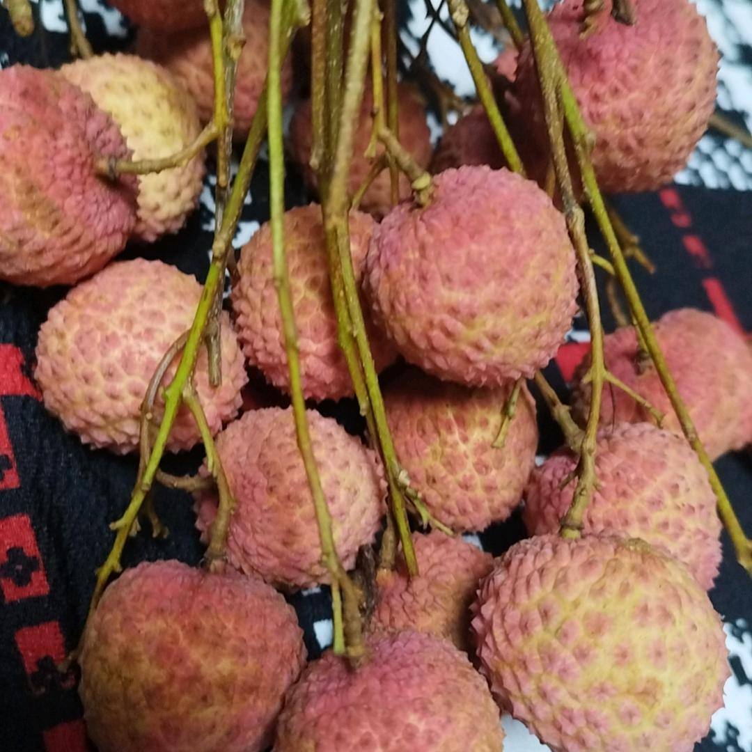 蝉变