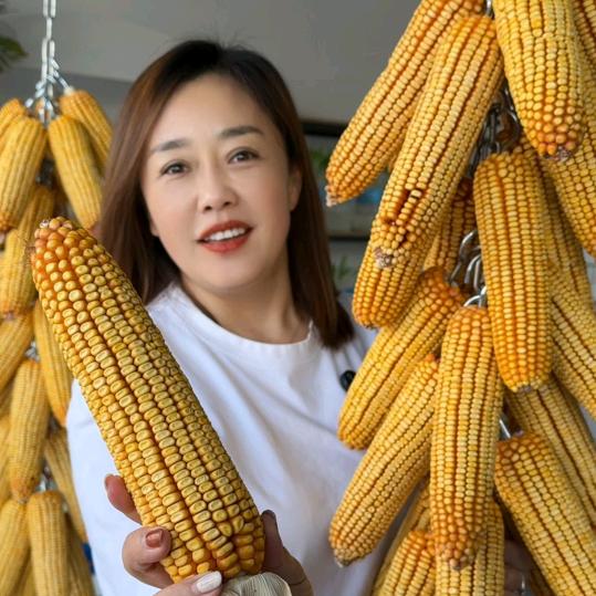 玉米欣怡（吨科）