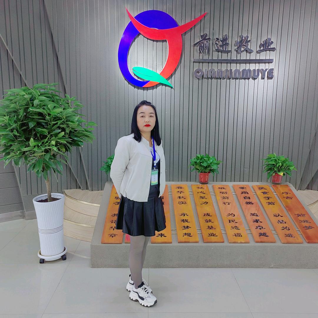 机动车报废回收
