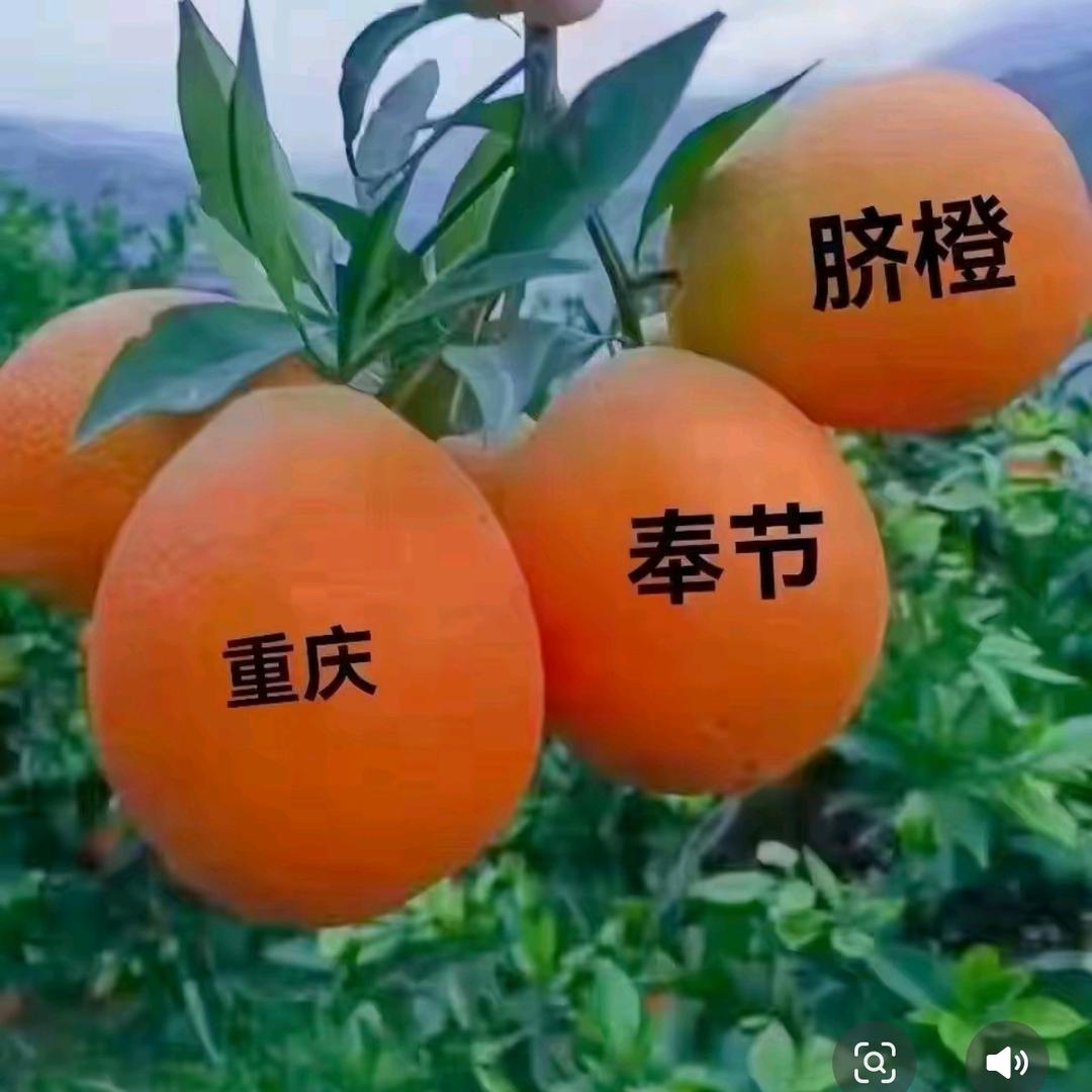 阳阳生活号‍🌈