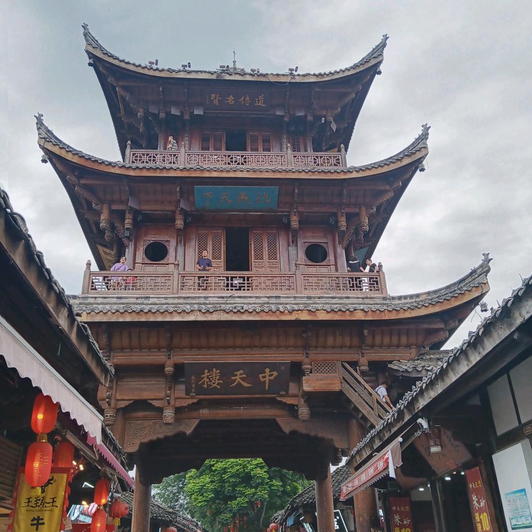 寂寞的驼鸟
