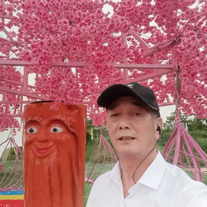 老有所依