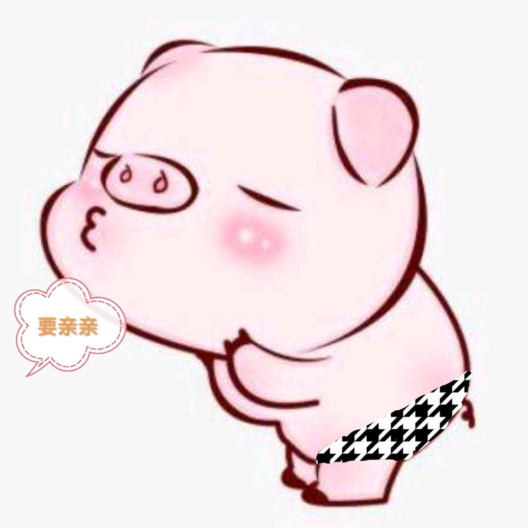 💫🐷仔仔🐷✨