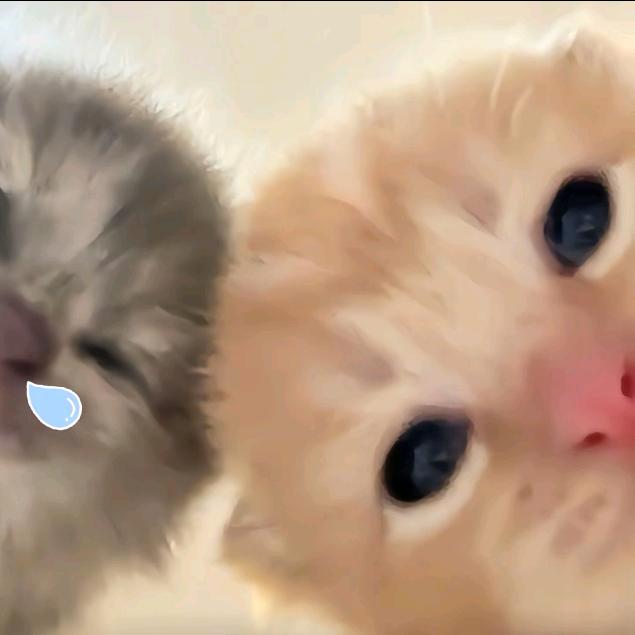 睡觉呢