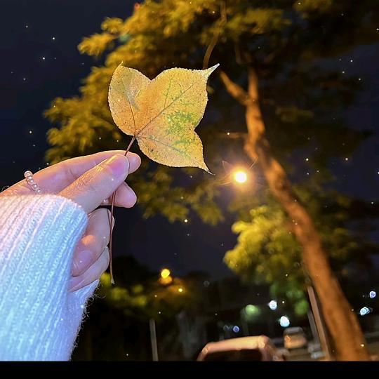 💗᭄简家🕊꯭᭄꯭ꦿ菇凉ོꦿ