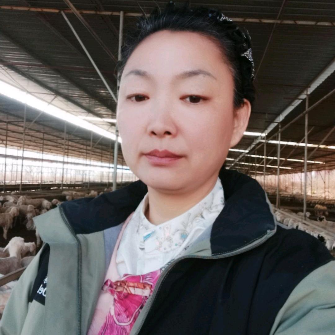 心语《代收阜新羊苗》