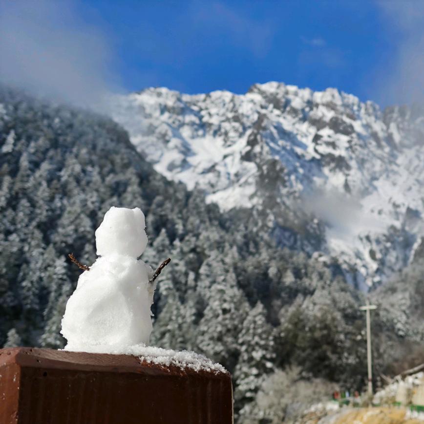 爱钓鱼🎣的轮滑教练