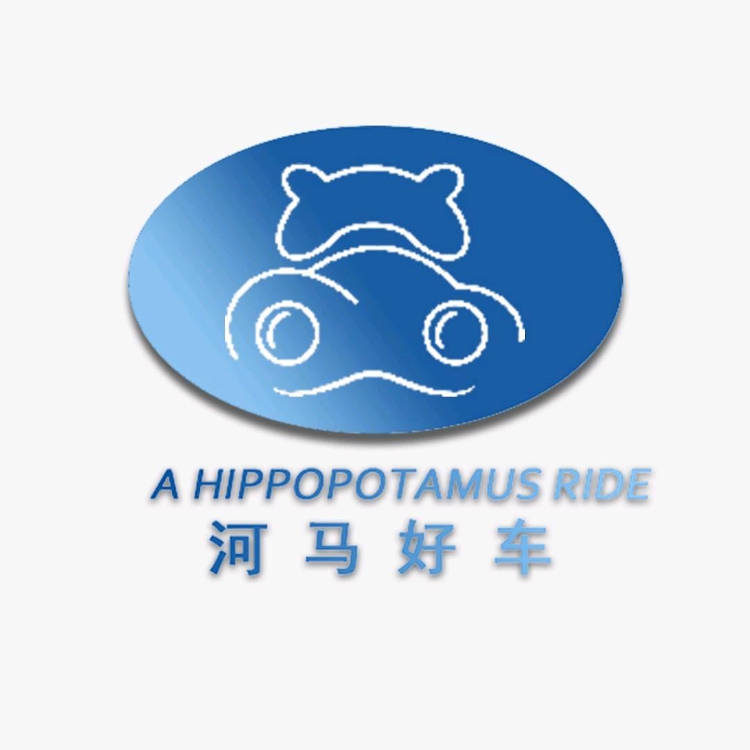 常州河马好车