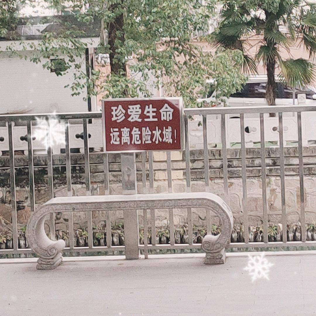 鱼鹰
