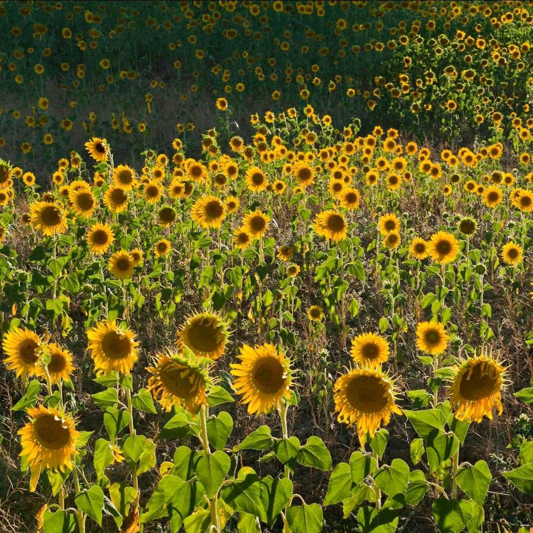 元气潮玩综合馆官方号