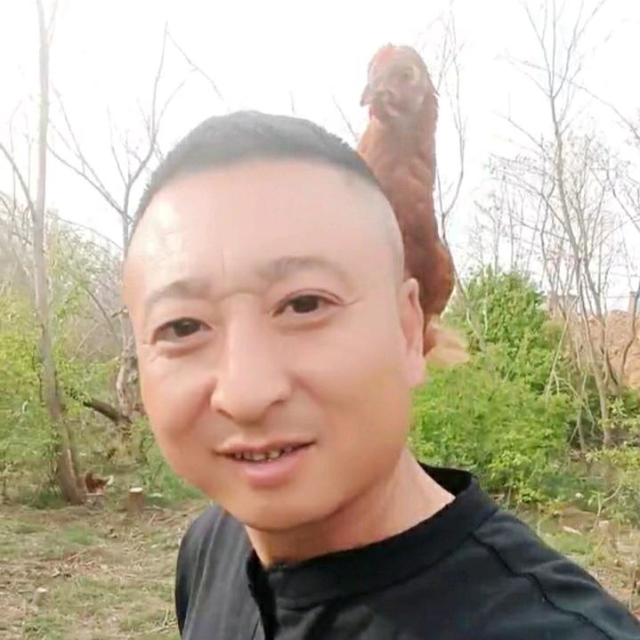 新成农业