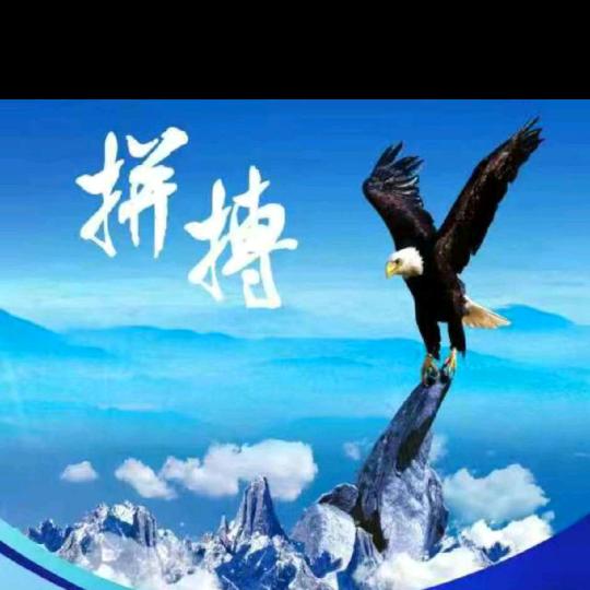 🔥拼搏🔥