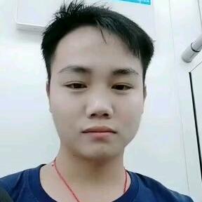 鱼儿
