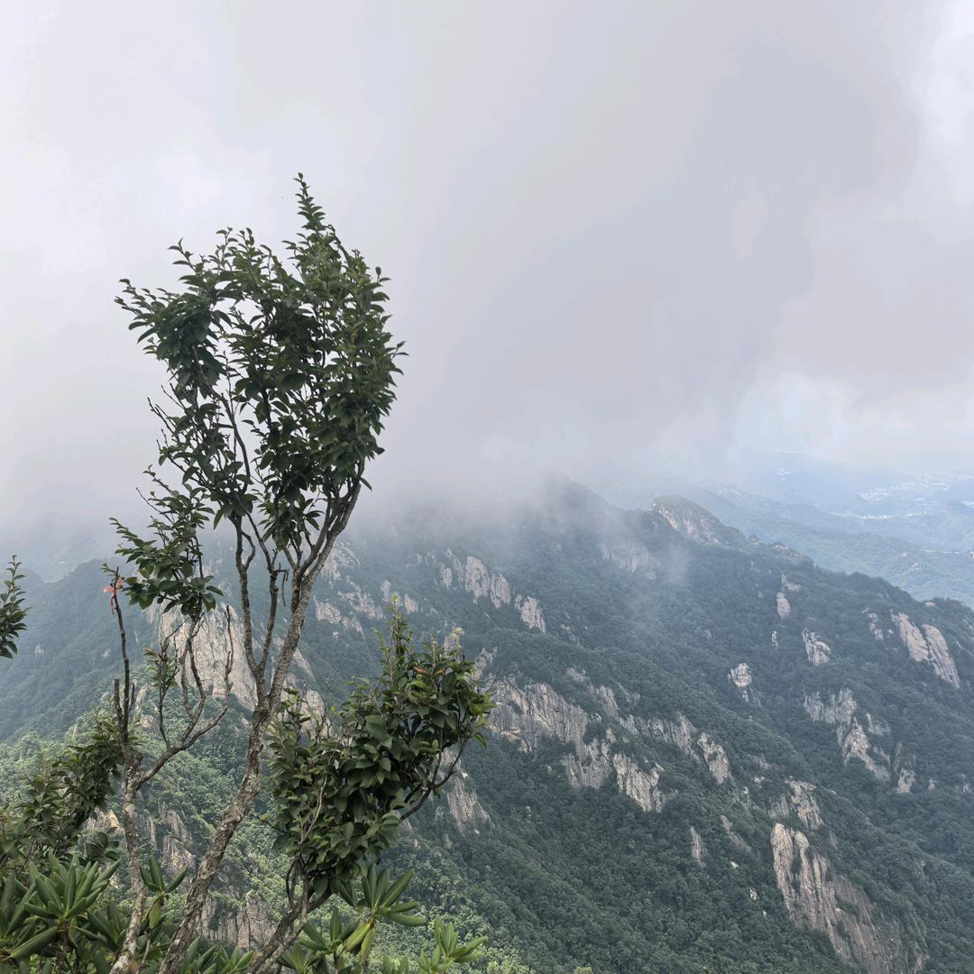 ල᭄🥀~阳💞ꦿ